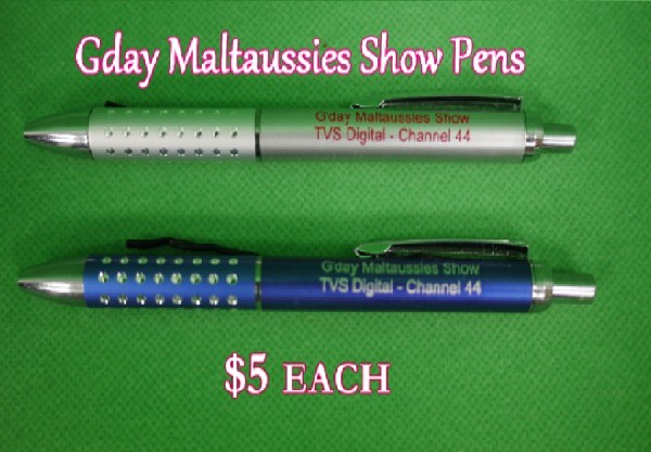 DAY-MALTAUSSIES-SHOW-PENS1